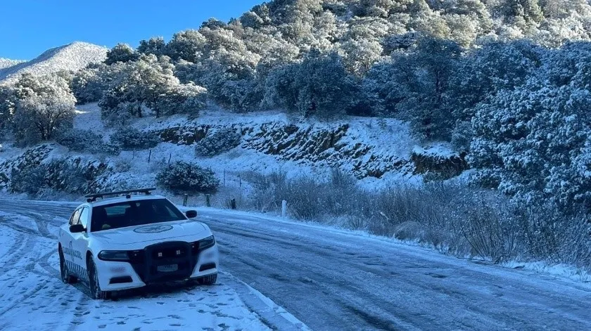 NEVADO EN LA SIERRA